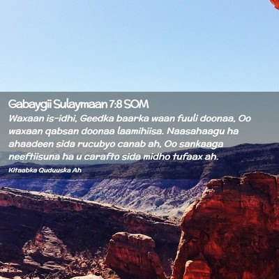 Picture 02 - Gabaygii Sulaymaan 7:8 SOM - Waxaan is-idhi, Geedka baarka waan fuuli doonaa, - Bible Verse Picture