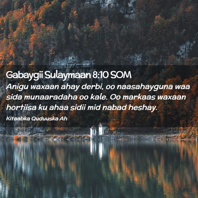Picture 02 - Gabaygii Sulaymaan 8:10 SOM - Anigu waxaan ahay derbi, oo naasahayguna waa sida - Bible Verse Picture