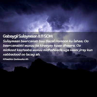 Picture 02 - Gabaygii Sulaymaan 8:11 SOM - Sulaymaan beercanab buu Bacal Hamoon ku lahaa; Oo - Bible Verse Picture