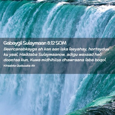 Picture 02 - Gabaygii Sulaymaan 8:12 SOM - Beercanabkayga ah kan aan iska leeyahay, - Bible Verse Picture