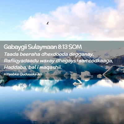 Picture 02 - Gabaygii Sulaymaan 8:13 SOM - Taada beeraha dhexdooda degganay, Rafiiqyadaadu - Bible Verse Picture