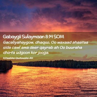 Picture 02 - Gabaygii Sulaymaan 8:14 SOM - Gacaliyahaygow, dhaqso, Oo waxaad ahaataa sida - Bible Verse Picture
