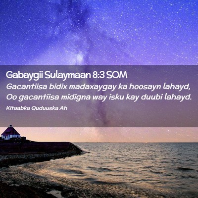 Picture 02 - Gabaygii Sulaymaan 8:3 SOM - Gacantiisa bidix madaxaygay ka hoosayn lahayd, Oo - Bible Verse Picture