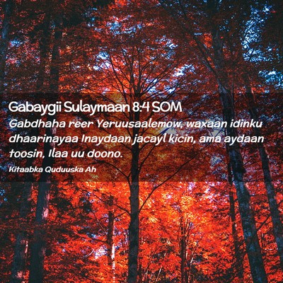 Picture 02 - Gabaygii Sulaymaan 8:4 SOM - Gabdhaha reer Yeruusaalemow, waxaan idinku - Bible Verse Picture