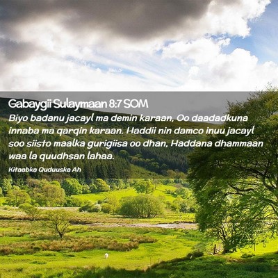 Picture 02 - Gabaygii Sulaymaan 8:7 SOM - Biyo badanu jacayl ma demin karaan, Oo daadadkuna - Bible Verse Picture
