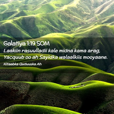Picture 02 - Galatiya 1:19 SOM - Laakiin rasuulladii kale midna kama arag, Yacquub - Bible Verse Picture