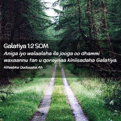 Picture 02 - Galatiya 1:2 SOM - Aniga iyo walaalaha ila jooga oo dhammi waxaannu - Bible Verse Picture