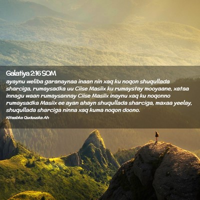 Picture 02 - Galatiya 2:16 SOM - ayaynu weliba garanaynaa inaan nin xaq ku noqon - Bible Verse Picture