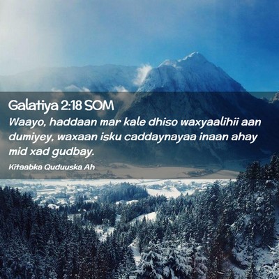 Picture 02 - Galatiya 2:18 SOM - Waayo, haddaan mar kale dhiso waxyaalihii aan - Bible Verse Picture