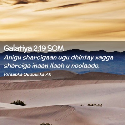 Picture 02 - Galatiya 2:19 SOM - Anigu sharcigaan ugu dhintay xagga sharciga inaan - Bible Verse Picture