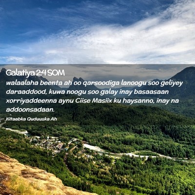 Picture 02 - Galatiya 2:4 SOM - walaalaha beenta ah oo qarsoodiga lanoogu soo - Bible Verse Picture
