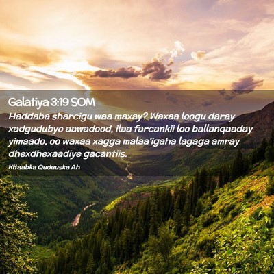 Picture 02 - Galatiya 3:19 SOM - Haddaba sharcigu waa maxay? Waxaa loogu daray - Bible Verse Picture