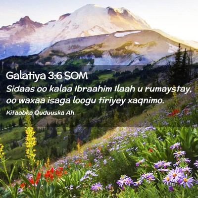 Picture 02 - Galatiya 3:6 SOM - Sidaas oo kalaa Ibraahim Ilaah u rumaystay, oo - Bible Verse Picture