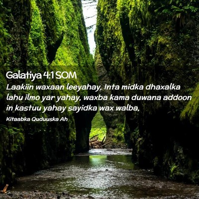Picture 02 - Galatiya 4:1 SOM - Laakiin waxaan leeyahay, Inta midka dhaxalka lahu - Bible Verse Picture