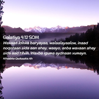 Picture 02 - Galatiya 4:12 SOM - Waxaan idinka baryayaa, walaalayaalow, inaad - Bible Verse Picture