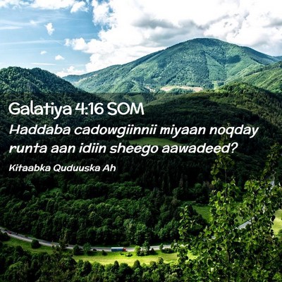 Picture 02 - Galatiya 4:16 SOM - Haddaba cadowgiinnii miyaan noqday runta aan - Bible Verse Picture