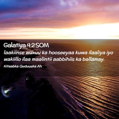 Picture 02 - Galatiya 4:2 SOM - laakiinse wuxuu ka hooseeyaa kuwa ilaaliya iyo - Bible Verse Picture