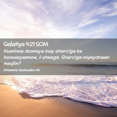 Picture 02 - Galatiya 4:21 SOM - Kuwiinna doonaya inay sharciga ka hooseeyaanow, - Bible Verse Picture