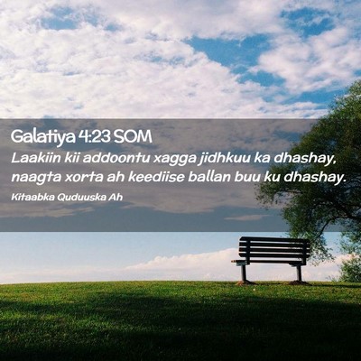 Picture 02 - Galatiya 4:23 SOM - Laakiin kii addoontu xagga jidhkuu ka dhashay, - Bible Verse Picture