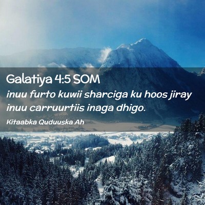 Picture 02 - Galatiya 4:5 SOM - inuu furto kuwii sharciga ku hoos jiray inuu - Bible Verse Picture