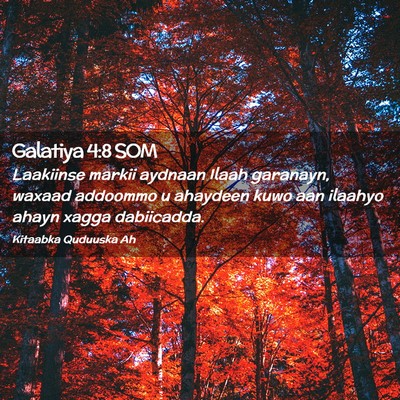 Picture 02 - Galatiya 4:8 SOM - Laakiinse markii aydnaan Ilaah garanayn, waxaad - Bible Verse Picture