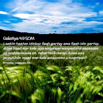 Picture 02 - Galatiya 4:9 SOM - Laakiin haatan idinkoo Ilaah gartay ama Ilaah - Bible Verse Picture