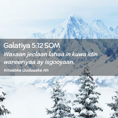 Picture 02 - Galatiya 5:12 SOM - Waxaan jeclaan lahaa in kuwa idin wareeriyaa ay - Bible Verse Picture