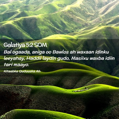 Picture 02 - Galatiya 5:2 SOM - Bal ogaada, aniga oo Bawlos ah waxaan idinku - Bible Verse Picture