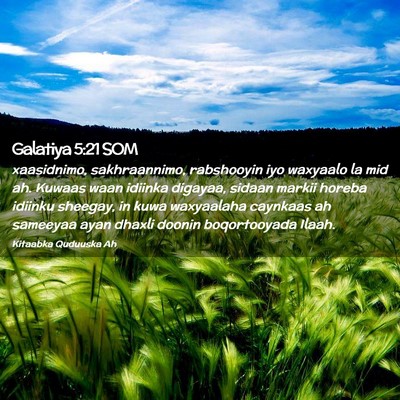 Picture 02 - Galatiya 5:21 SOM - xaasidnimo, sakhraannimo, rabshooyin iyo waxyaalo - Bible Verse Picture