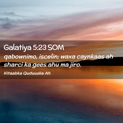 Picture 02 - Galatiya 5:23 SOM - qabownimo, iscelin; waxa caynkaas ah sharci ka - Bible Verse Picture