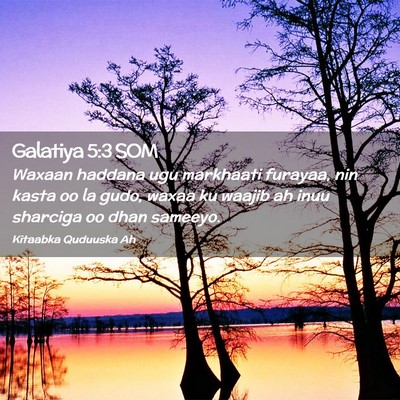 Picture 02 - Galatiya 5:3 SOM - Waxaan haddana ugu markhaati furayaa, nin kasta - Bible Verse Picture