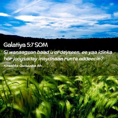Picture 02 - Galatiya 5:7 SOM - Si wanaagsan baad u ordayseen, ee yaa idinka hor - Bible Verse Picture