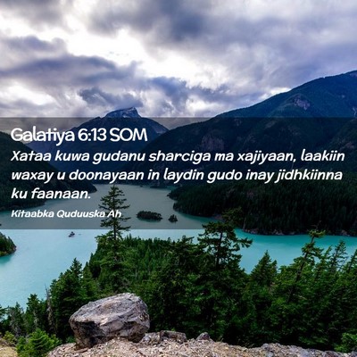 Picture 02 - Galatiya 6:13 SOM - Xataa kuwa gudanu sharciga ma xajiyaan, laakiin - Bible Verse Picture