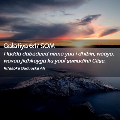Picture 02 - Galatiya 6:17 SOM - Hadda dabadeed ninna yuu i dhibin, waayo, waxaa - Bible Verse Picture