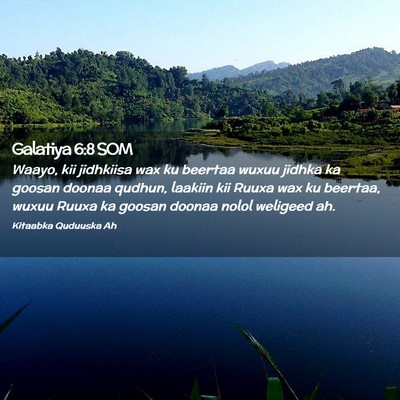 Picture 02 - Galatiya 6:8 SOM - Waayo, kii jidhkiisa wax ku beertaa wuxuu jidhka - Bible Verse Picture