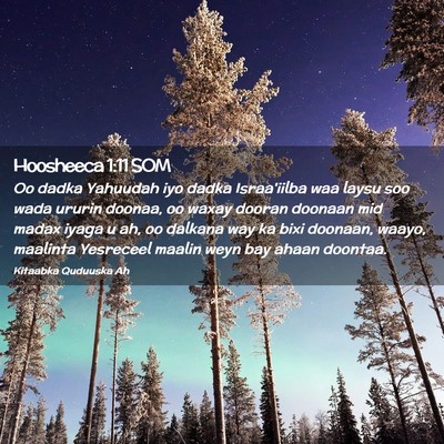 Picture 02 - Hoosheeca 1:11 SOM - Oo dadka Yahuudah iyo dadka Israa'iilba waa laysu - Bible Verse Picture