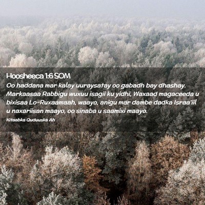 Picture 02 - Hoosheeca 1:6 SOM - Oo haddana mar kalay uuraysatay oo gabadh bay - Bible Verse Picture