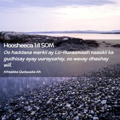 Picture 02 - Hoosheeca 1:8 SOM - Oo haddana markii ay Lo-Ruxaamaah naaskii ka - Bible Verse Picture
