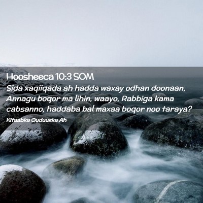 Picture 02 - Hoosheeca 10:3 SOM - Sida xaqiiqada ah hadda waxay odhan doonaan, - Bible Verse Picture