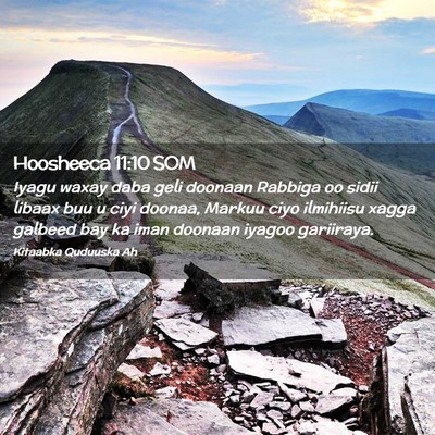 Picture 02 - Hoosheeca 11:10 SOM - Iyagu waxay daba geli doonaan Rabbiga oo sidii - Bible Verse Picture