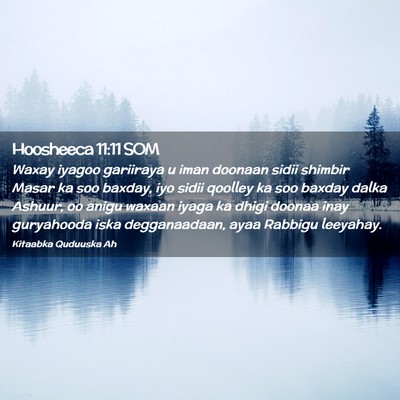 Picture 02 - Hoosheeca 11:11 SOM - Waxay iyagoo gariiraya u iman doonaan sidii - Bible Verse Picture