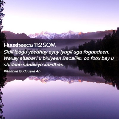 Picture 02 - Hoosheeca 11:2 SOM - Sidii loogu yeedhay ayay iyagii uga fogaadeen. - Bible Verse Picture