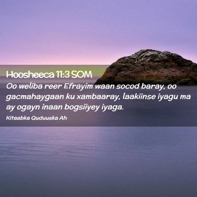 Picture 02 - Hoosheeca 11:3 SOM - Oo weliba reer Efrayim waan socod baray, oo - Bible Verse Picture