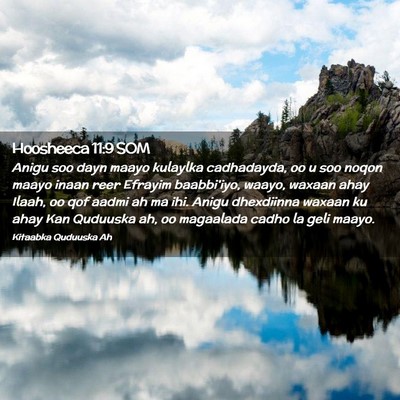 Picture 02 - Hoosheeca 11:9 SOM - Anigu soo dayn maayo kulaylka cadhadayda, oo u - Bible Verse Picture