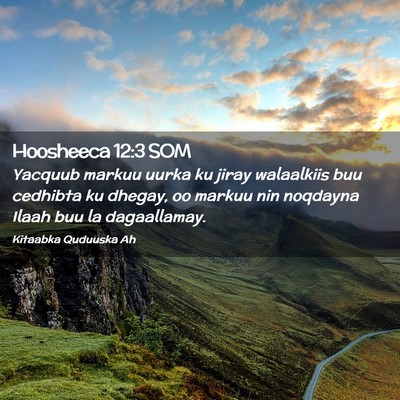 Picture 02 - Hoosheeca 12:3 SOM - Yacquub markuu uurka ku jiray walaalkiis buu - Bible Verse Picture