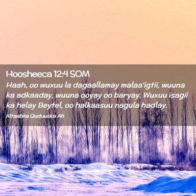Picture 02 - Hoosheeca 12:4 SOM - Haah, oo wuxuu la dagaallamay malaa'igtii, wuuna - Bible Verse Picture