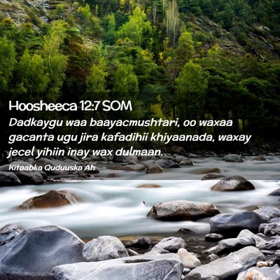 Picture 02 - Hoosheeca 12:7 SOM - Dadkaygu waa baayacmushtari, oo waxaa gacanta ugu - Bible Verse Picture