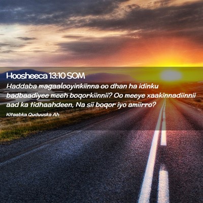 Picture 02 - Hoosheeca 13:10 SOM - Haddaba magaalooyinkiinna oo dhan ha idinku - Bible Verse Picture