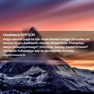Picture 02 - Hoosheeca 13:14 SOM - Anigu waxaan iyaga ka soo furan doonaa xoogga - Bible Verse Picture