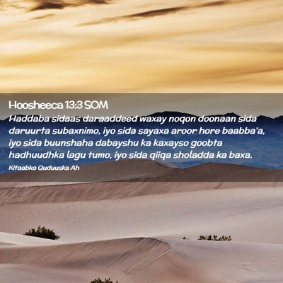 Picture 02 - Hoosheeca 13:3 SOM - Haddaba sidaas daraaddeed waxay noqon doonaan - Bible Verse Picture